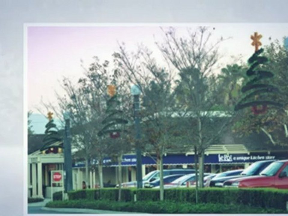 Christmas Light Installers FL 813-252-0052 St. Petersburg