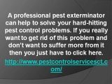 Benefits of hiring Pest Control Service