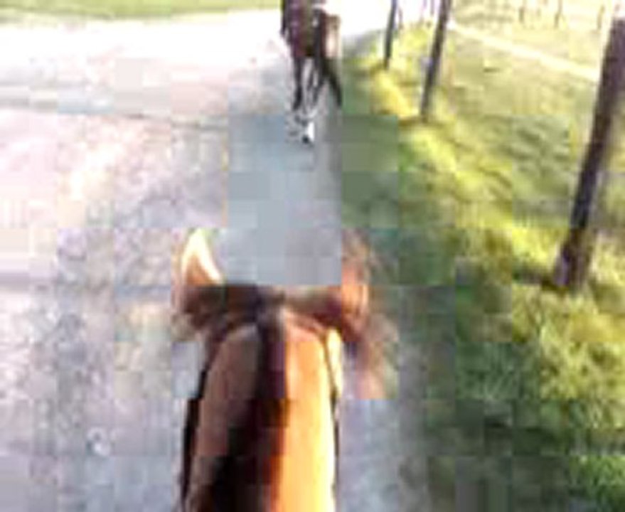 balade avec caro