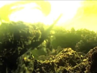 ParaNorman - Clip - Hit And Run