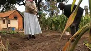 The Fertilizer Push - Supporting Africa's Green Revolution - Preview
