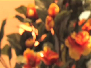 Nails in High Wycombe