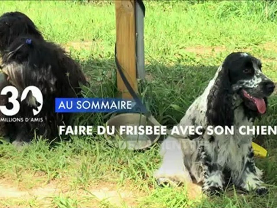 Sommaire émission 30 Millions d'Amis 8/9/2012