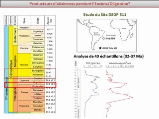 Presentation FROGs 2012 - J Plancq