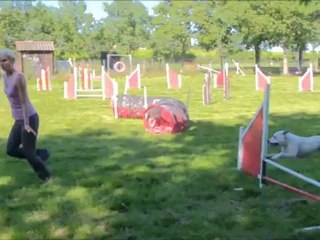 Journée des associations Entente Canine de Vertou