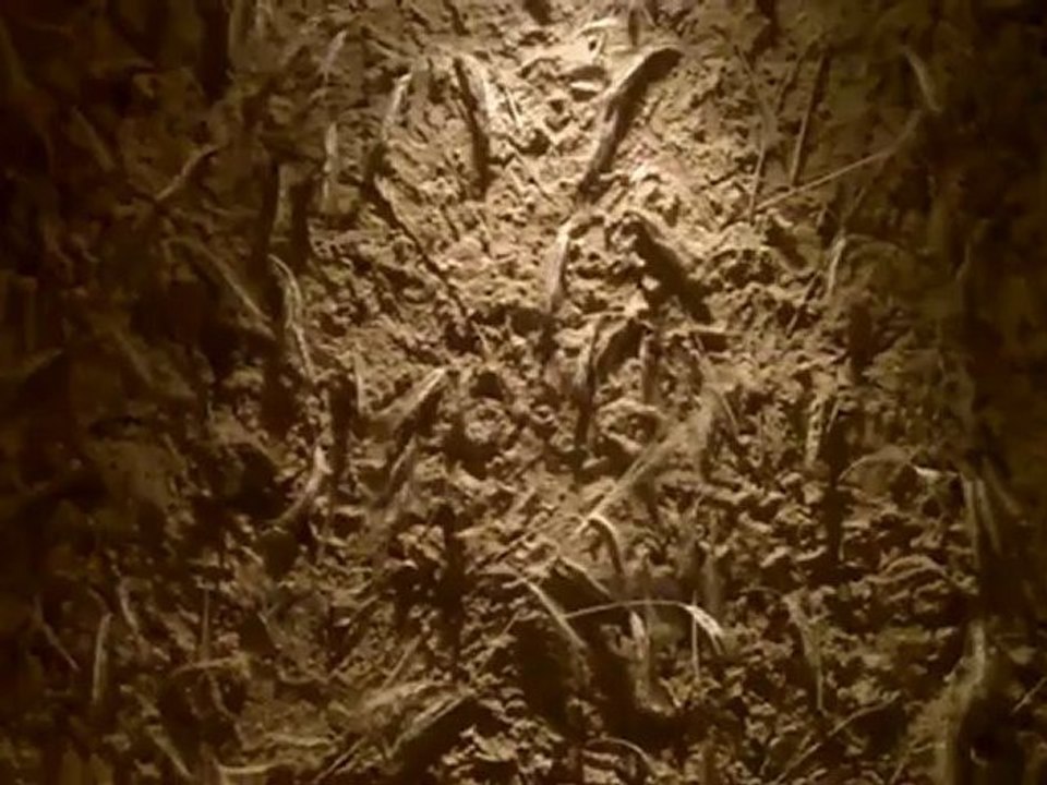 Heublumenbad Golf Spa Wellness Hotel Andreus Meran