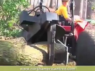 North American Tree Service