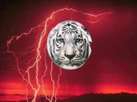 Hot Vibe Tilly Key calvin scott