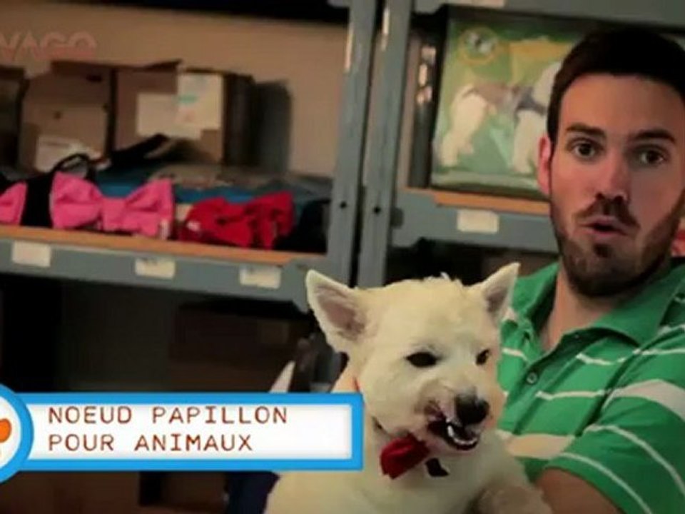 Accessoire pour chien ou chat animalerie