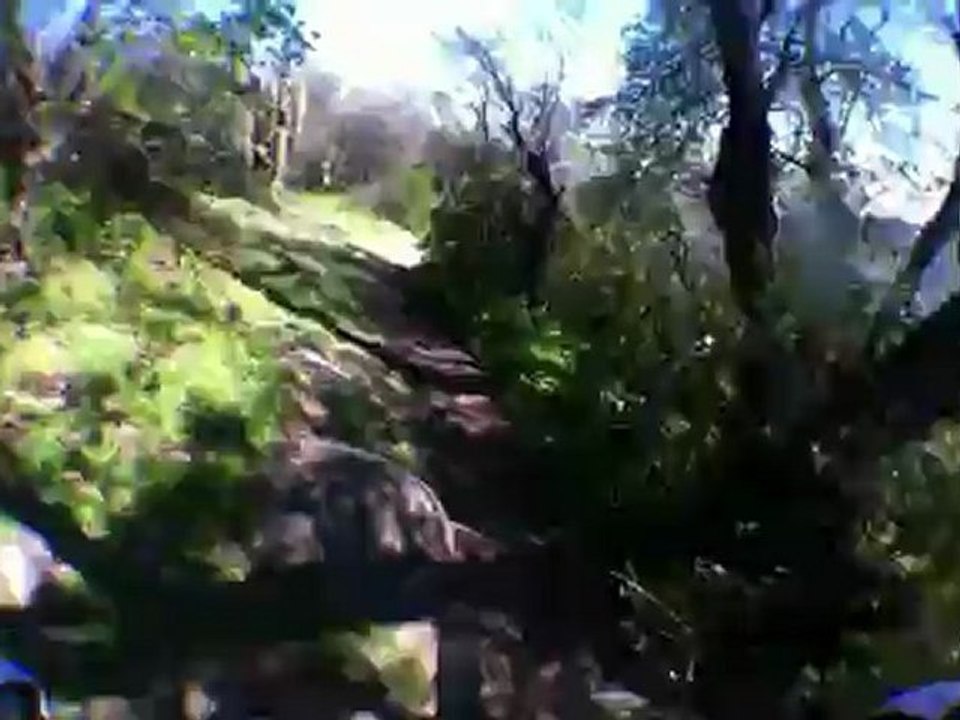 El Cardo Parte 1.