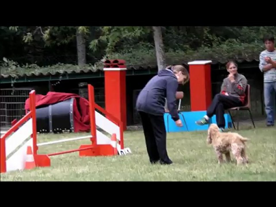 Laetitia et Betty Garonne Agility 2 septembre 2012