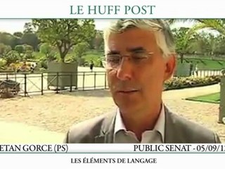 UMP, PS : petit mode d'emploi pour une élection interne