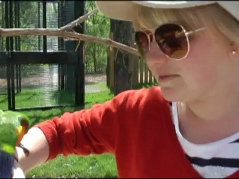 Parc des oiseaux de Villars-les-Dombes : la volière des loris - Département de l'Ain