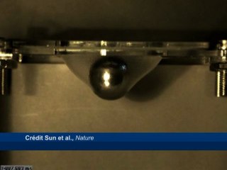 Chute d'une bille d'acier sur une membrane souple et ultra-résistante