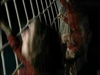 Adidas  Geruest Danger Area