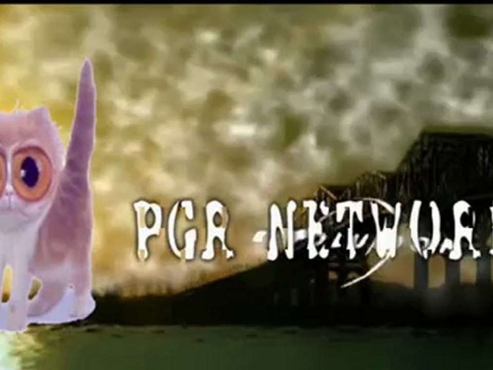 PGR NETWORK