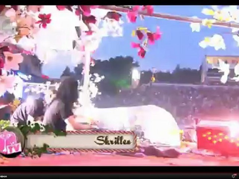 Skrillex in Tomorrowland 2012