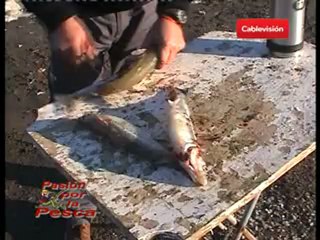 Pasion por la pesca 8 agosto part1