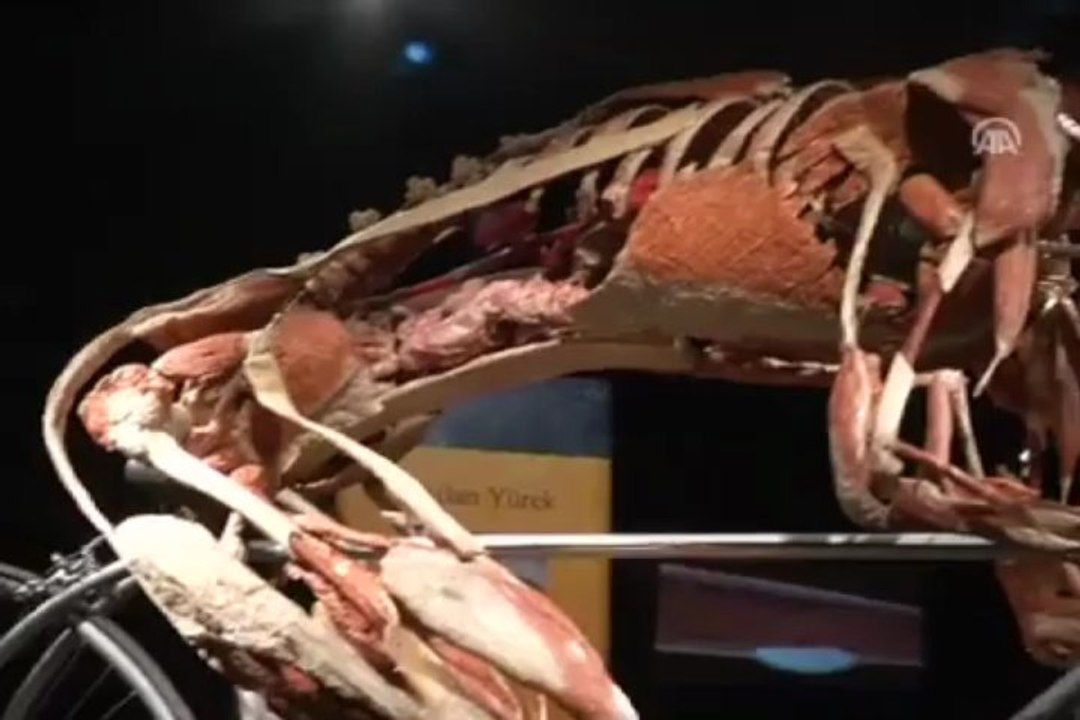 ''Plastik'' bedenler Başkentte