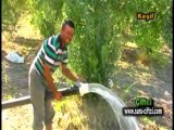 manisa-kırkağaç-tarımsalkalkınmakoop-halilbertok-05072057131-keşiftv-türkiyemtv