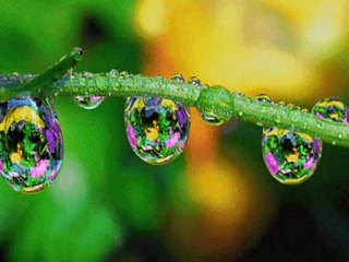 Popłyniemy daleko...