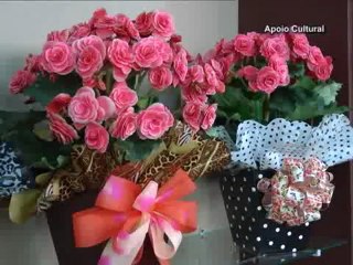 Chora Viola do dia 09-09-2012