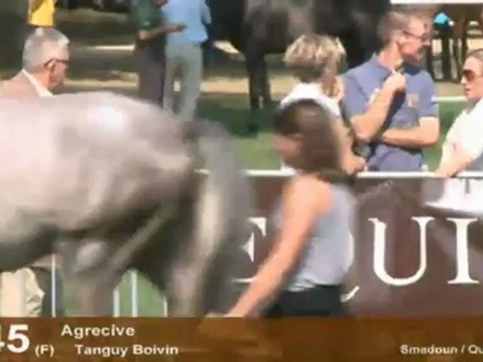 Section 5 - 2 ans femelle - Lots 42 à 49