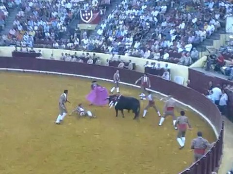 NUNO MARQUES CABO DOS FORCADOS AMADORES DA CHAMUSCA PEGA TOIRO DE MARIA GUIOMAR CORTES MOURA NO CAMPO PEQUENO