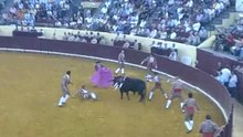 NUNO MARQUES CABO DOS FORCADOS AMADORES DA CHAMUSCA PEGA TOIRO DE MARIA GUIOMAR CORTES MOURA NO CAMPO PEQUENO