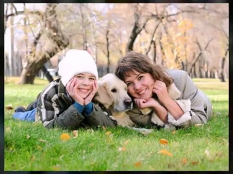 Pet Trust Services in Jacksonville, Orange Park, Saint Augustine FL