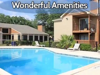 Pointe At Steeplechase Apartments in Houston, TX - ForRent.com