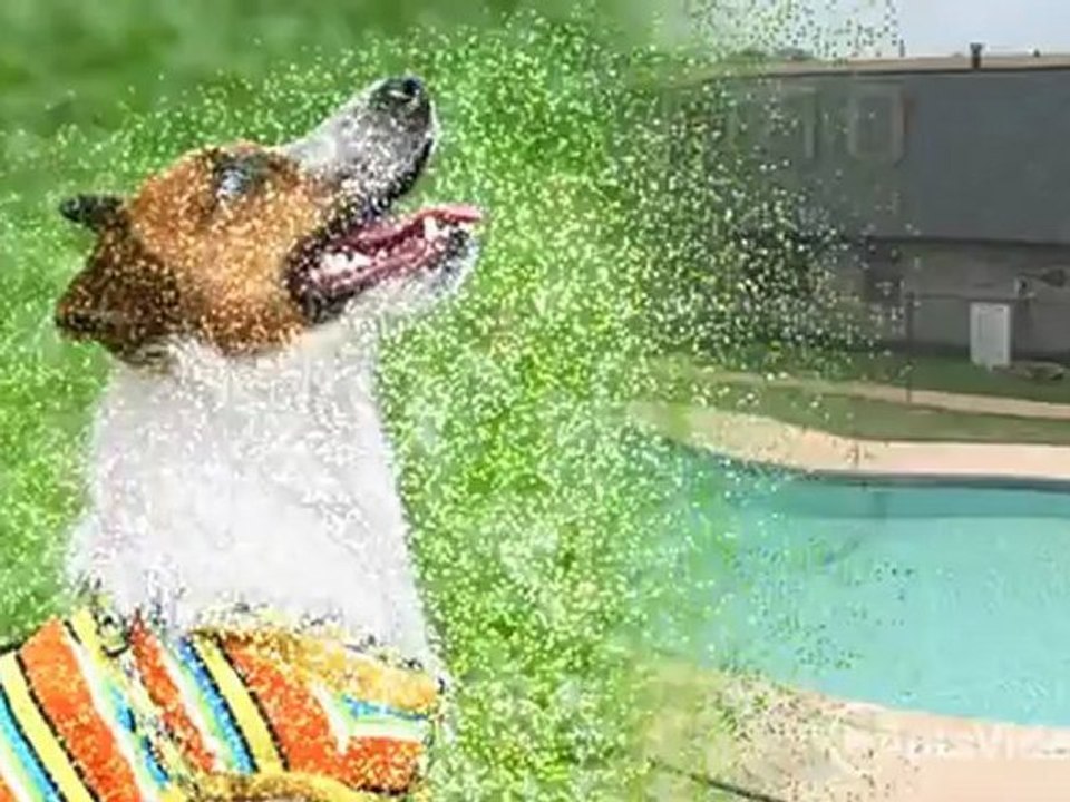 Oaks at Jane Lane Apartments in Haltom City, TX - ForRent.com