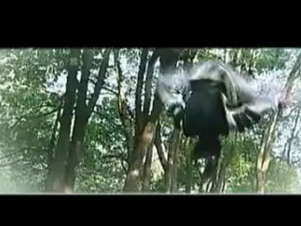 [红开傅叶]临安初雨 （如右键另存为无法下载，请使用硕鼠下载.）