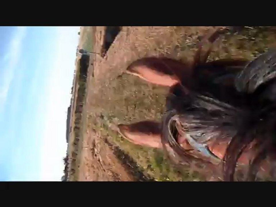 Au galop!l