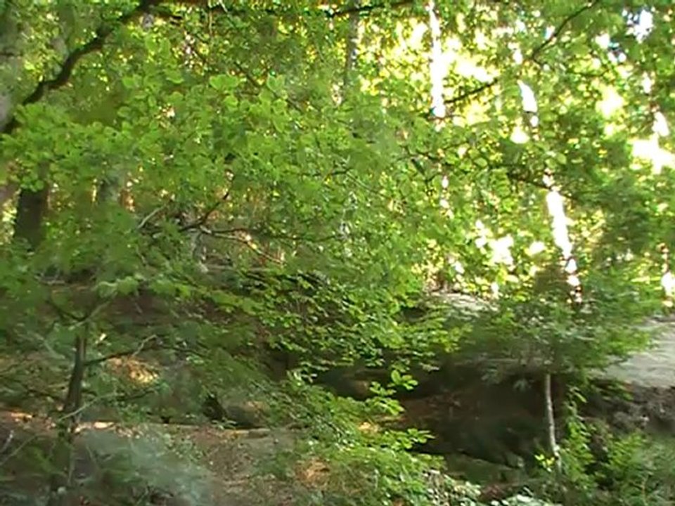 Die Kanzel