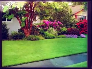 Arizona Lawn Service - (520) 723-9700