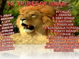 Pt.23 (Distortion Of History) Historical Proof Of The 10 Lost Tribnes Of Israel