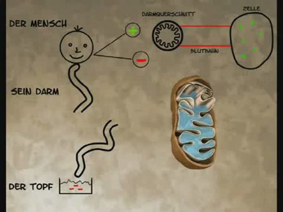 Tatort Darm - Der Film