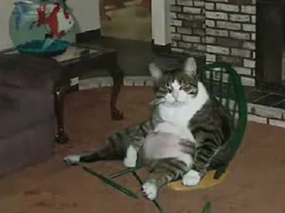 Video Marketing With Funny Video Productions - Wind"