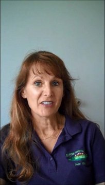 Alpine Dental Arts & Steve Anundsen DDS in Lakewood, CO