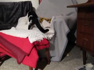 Liva groggy efter narkose, 7. sep.  2012