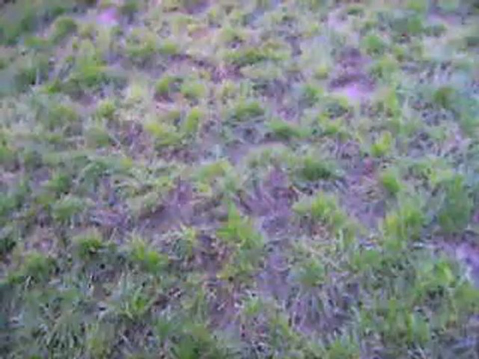 vidéo du 07.09.2012 de H' ...