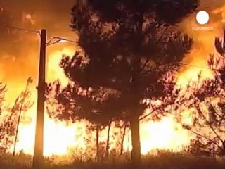 Portekiz orman yangınlarının önünü alamıyor