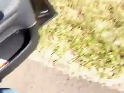 OVNI - UFO (AVISTAMIENTOS)