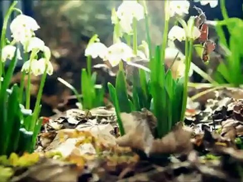 gürcan koç alev aldı denizlerim