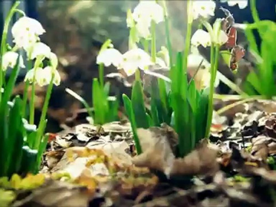 gürcan koç--alev aldı denizlerim