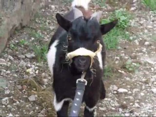 Actualité début septembre 2012