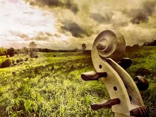 Passion du violoncelle par Jean-François Dupuis