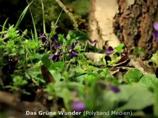 Benno Fürmann ist auch ein "peinlicher Großstädter"