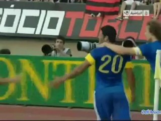 هدف البرازيل ضد جنوب افريقيا